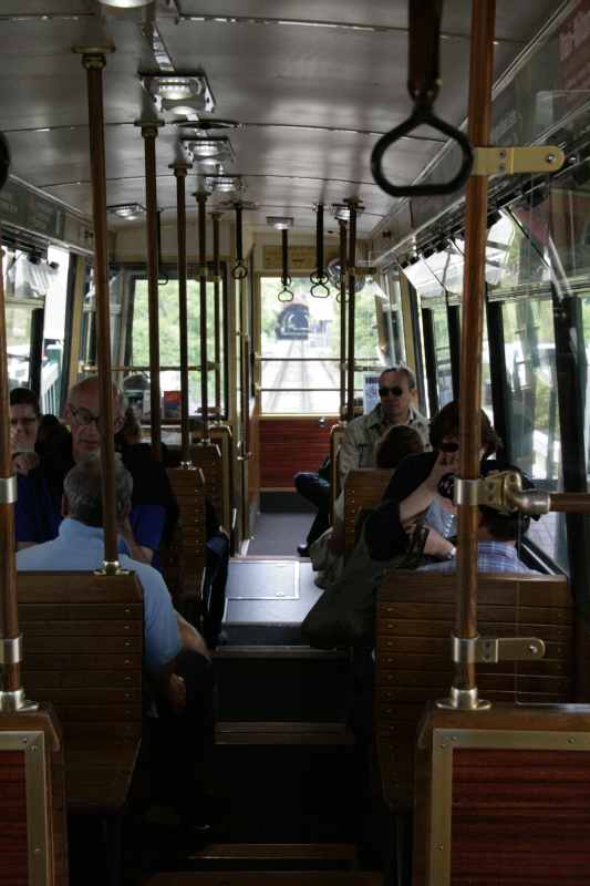 Nieuw-Zeeland 2011 - 0910